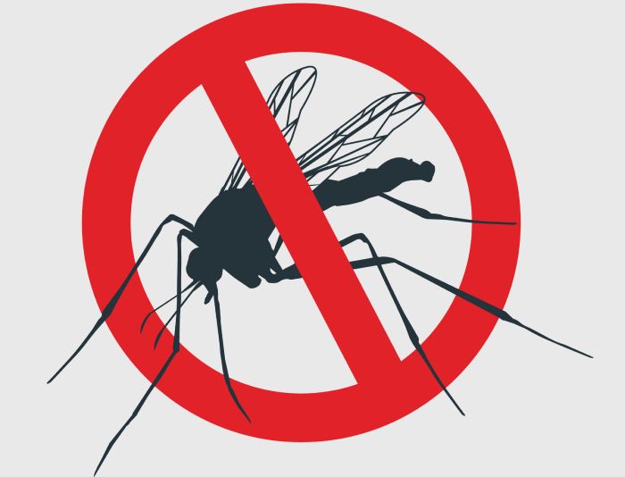 O verão bate a porta! Época da invasão das pragas de insetos são comuns nesse período faça dedetização preventiva contra brocas, cupins baratas, formigas, ratos, moscas, mosquitos O verão bate a porta! Época da invasão das pragas de insetos são comuns nesse período faça dedetização preventiva contra brocas, cupins baratas, formigas, ratos, moscas, mosquitos