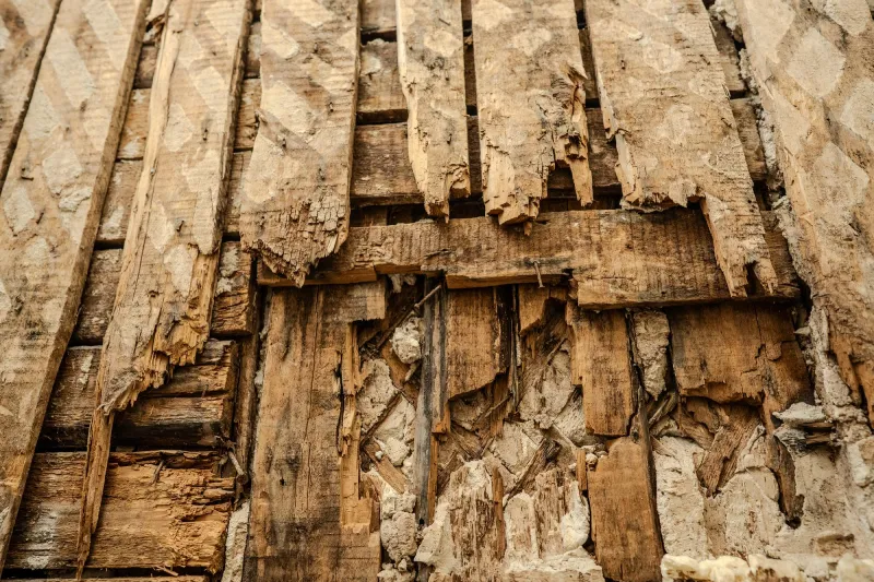 Dedetizadora para descupinização em Campos dos Goytacazes RJ: como escolher a melhor empresa em controle de pragas Dedetizadora para descupinização em Campos dos Goytacazes RJ: como escolher a melhor empresa em controle de pragas