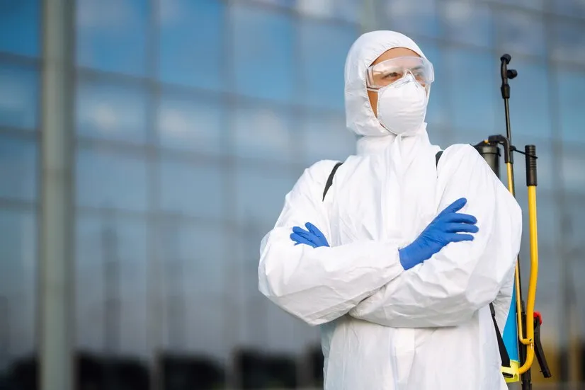 Dedetização Rio de Janeiro: Técnicas de dedetização Localizada para Eliminar baratas francesinhas em Áreas de Cozinha de Bares