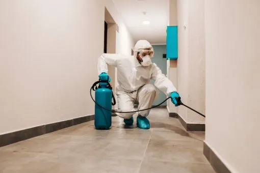 Empresa de Dedetização e Sanitização de Ambientes em Barra Do Piraí RJ. Entenda a Importância! Agora é Lei Nº 8839 De 21/05/202! Tudo que você precisa saber! Emitimos certificado – Dedetizadora RJ