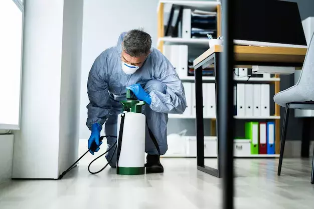 Livre-se rápido das pragas: medidas preventivas contra insetos e pragas urbanas? Dedetização RJ