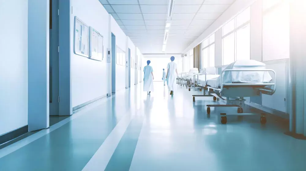 Controle de Pragas para Hospitais RJ: Evite Contaminações com a Assistência Especializada