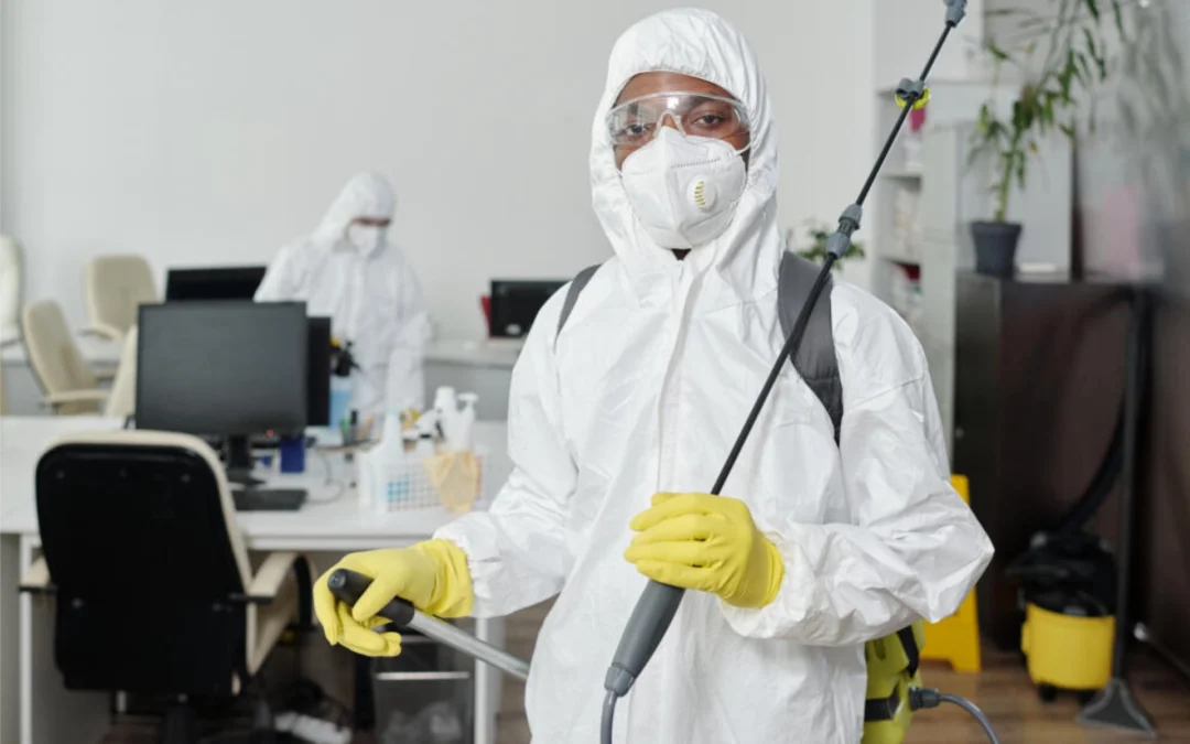 Saúde em cena: entenda a importância da Dedetização e Desinfecção em Cinemas e Teatros RJ