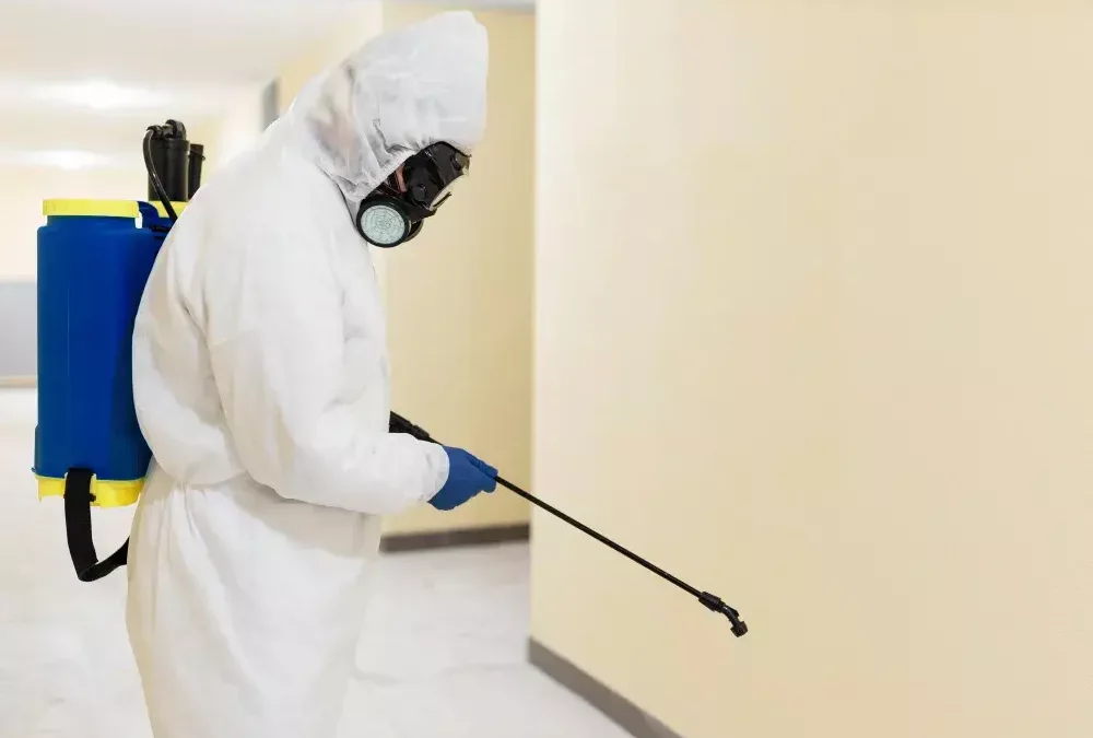 Descupinização em pré obra com barreira química de proteção RJ: chame o especialista com certificação