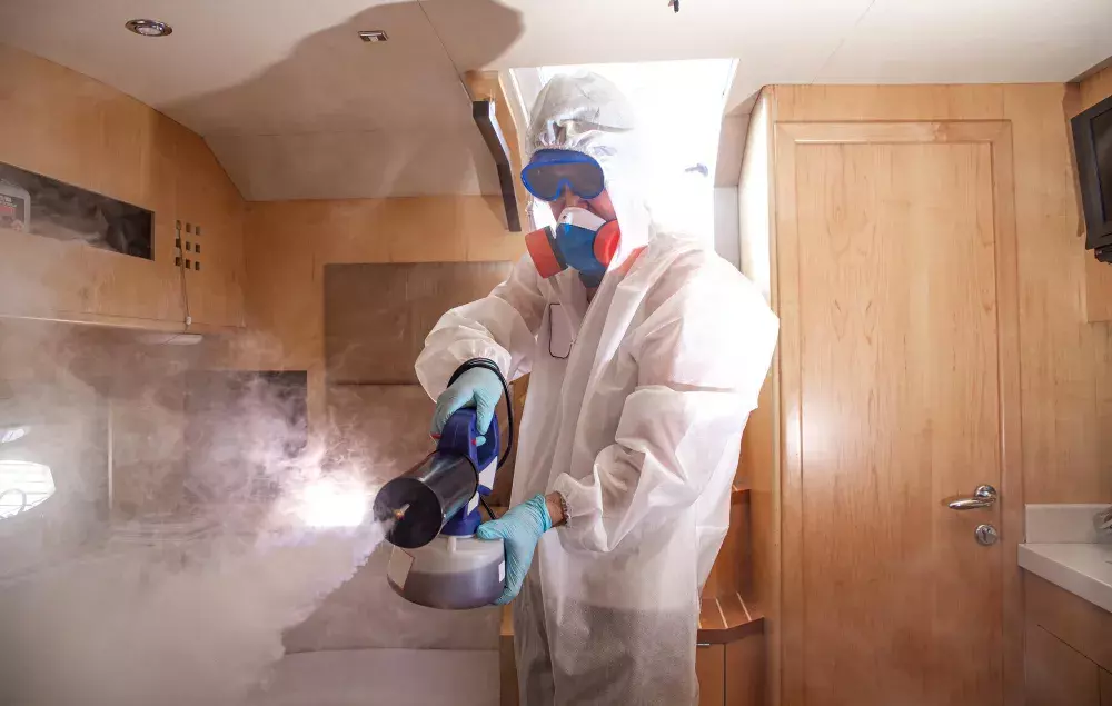 Controle de Pragas em Niterói: Chame o Especialista que Entende e Resolve