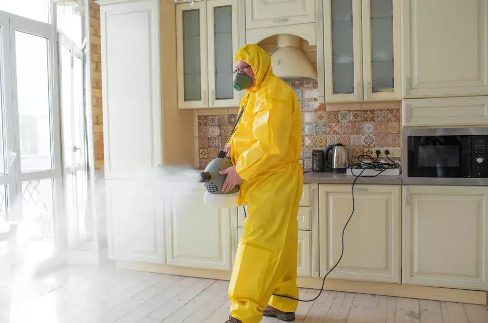 Controle de Pragas na Barra da Tijuca RJ: Chame uma Empresa Certificada INEA, ANVISA e IBAMA – Fale com Nosso Biólogo