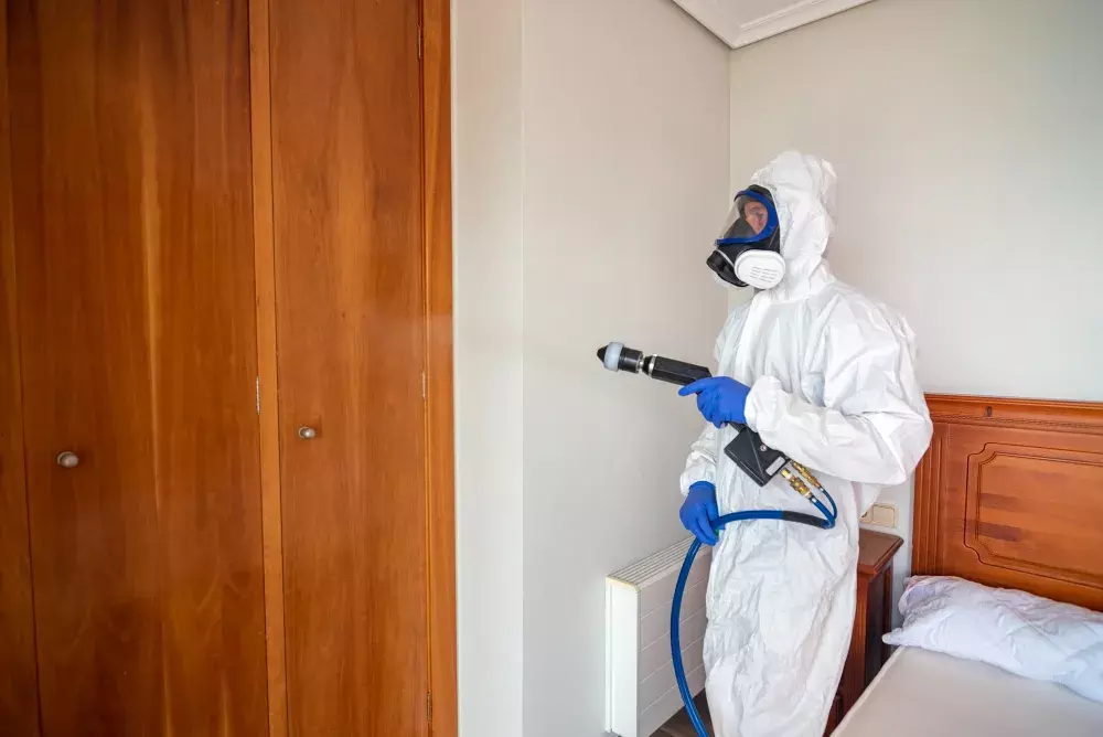 Dedetização e Descupinização em Vassouras RJ: Chame uma Empresa Certificada INEA e ANVISA para Controle de Pragas