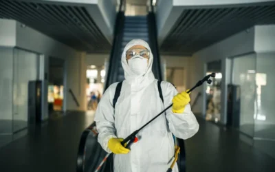 Dedetizadora RJ: Dedetização para Shoppings com Prevenção, Conformidade e Segurança com a Dedefone