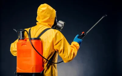 Dedetização e Descupinização no Grajau RJ: Como Eles Afetam a Sua Saúde e o Que Fazer