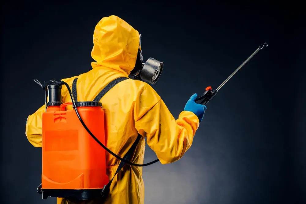 Dedetização e Descupinização no Grajau RJ: Como Eles Afetam a Sua Saúde e o Que Fazer