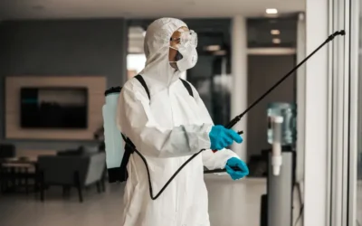 Dedetização em Veículos de Transporte de Alimentos RJ: Entenda a Obrigatoriedade e Fale com a Dedefone