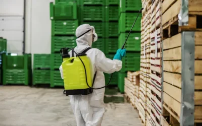 O Impacto das Pragas na Indústria Alimentícia RJ e Como Evitá-las: Dedefone RJ Entende e Resolve