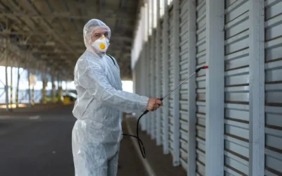 Dedetização no Rio de Janeiro: quando é realmente necessário contratar um serviço profissional?