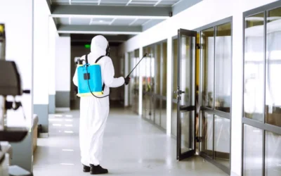 Dedetização no Rio de Janeiro: como identificar sinais de infestação antes que piorar