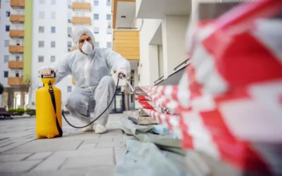 Dedetização no Rio de Janeiro: diferença entre controle preventivo e corretivo