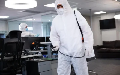 Dedetização no Rio de Janeiro: riscos de não realizar o serviço regularmente