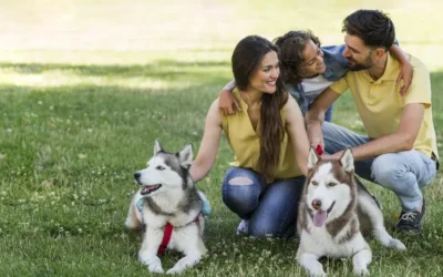 Dedetização no Rio de Janeiro: segurança para crianças e pets