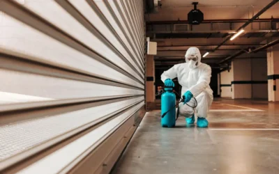 Pragas urbanas em condomínios: como proteger áreas comuns, lixeiras e garagens