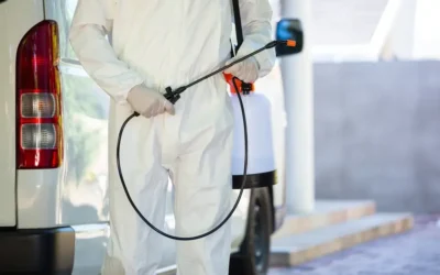 Dedetização no Rio de Janeiro em pizzarias artesanais: proteção sanitária para massas, fornos e estoques