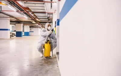 Dedetização no Rio de Janeiro para pequenos condomínios: prevenção acessível e eficiente contra pragas