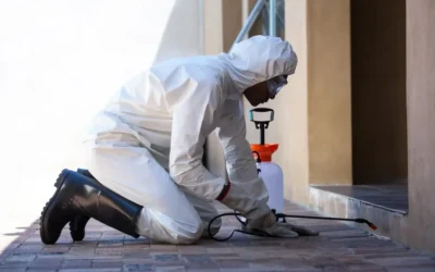 Controle de moscas e mosquitos em restaurantes e áreas de manipulação de alimentos no RJ